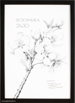 Фоторамка 21х30 с акриловым стеклом/ 1504А-012С /уп10 ф