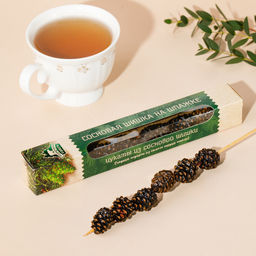 Цукаты сосновая шишка на шпажке с сычуаньским перцем 25гр НОВИНКА!!!