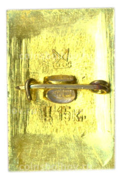 Значок Петродворец