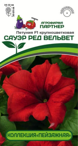 Петуния Сауэр Ред Вельвет кустовая крупноцветковая