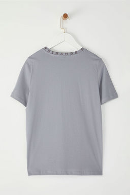 TRENDYOLMILLA Gri %100 Pamuk Regular/Normal Kal?p Slogan Bask?l? Basic Dik Yaka Orme T-Shirt TWOAW20TS0099  фото 6