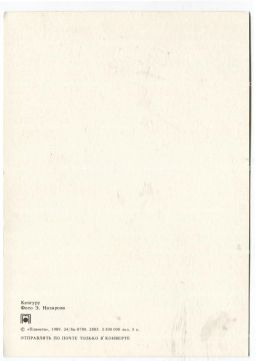 Открытка Кенгуру