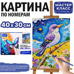 Картина по номерам MKR4030-160 "Птица" 40х30 см.