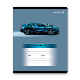 Светоч Т189 Тетрадь ученическая школьная, выборочный лак, A5 24 л. на скобе 65 г/кв.м , белизна 100 % 15 шт. линия 01461 Стартуют все фото 4