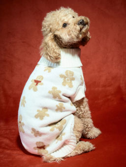 Свитер для питомца с принтом / Zarina