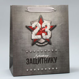 Цена за 2 шт. Пакет подарочный ламинированный, упаковка, С 23 февраля, MS 18?23?10 см