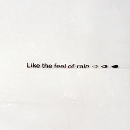 Дождевик для крупных пород собак "KOMFORT", прозрачный, р XL