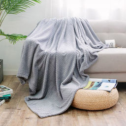 Плед/покрывало 220х200см "Серебряный дождь", велсофт "Royal Plush" гладкокрашенный, тиснение зигзаг, полиэстер 100%, плотность 290г/м2, упаковка: 20х33см пояс бумажный, "Домашняя мода" (Россия)