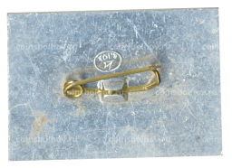 Значок Коломенское