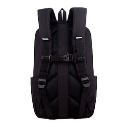 RD-641-3 Рюкзак - Grizzly фото 3