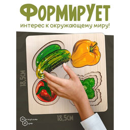 Рамка - вкладыш «Больше - меньше. Овощи», развивающая доска Сегена