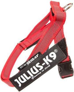 JULIUS-K9 шлейка для собак Ремни Color & Gray IDC® 3 (84-113см / 40-70кг), красный