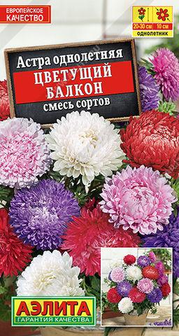 Астра Цветущий балкон, смесь сортов