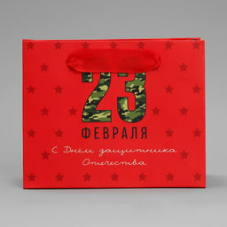 Цена за 3 шт. Пакет подарочный ламинированный, упаковка, С 23 февраля, S 15?12?5.5 см