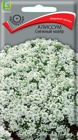 Алиссум Снежный ковёр (ЦВ) (1) 0,3гр. - Поиск фото 2