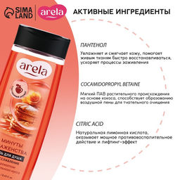 Цена за 3 шт. Гель для душа женский «Минуты блаженства», 250 мл, аромат карамельного мусса, ARELA