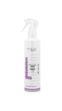 Спрей выпрямляющий / Straightening Spray 250 мл - Salerm cosmetics фото 2
