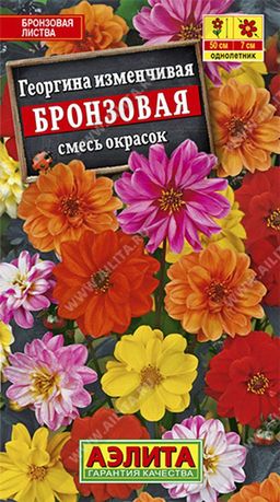 Георгина Бронзовая, смесь сортов