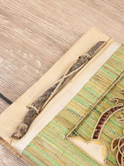 Фотоальбом «Остров с черепашкой», 10 листов, 19×19×2 см, бирюзовый