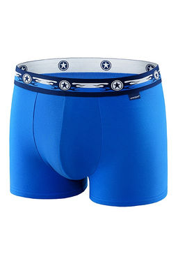 Мужские трусы BB33 Голубой
