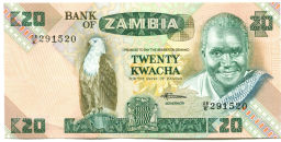 20 квача Замбия