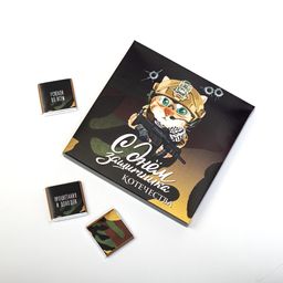 ? Набор 9 шоколадок С днём защитника котечества (кот с автоматом)