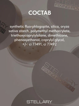 STELLARY Пудра рассыпчатая фиксирующая / Perfect matte fixing powder тон 02  фото 7