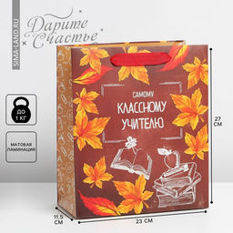 Цена за 2 шт. Пакет подарочный ламинированный, упаковка, «Учитель года», ML 27 х 23 х 11.5 см