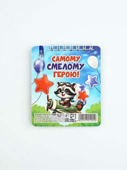 Подарочный набор, блокнот 9?10.4 см и мини-ручка Отважному защитнику. Енотик - Artfox фото 6