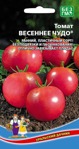 Томат ВЕСЕННЕЕ ЧУДО Ранний, пластичный сорт! Без подвязки и пасынкования! Отлично завязывает плоды!