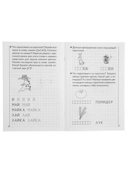 Цена за 6 шт. Рабочая тетрадь для детей 5-6 лет «Развиваем навыки чтения и грамотного письма», 2 часть, Бортникова Е.