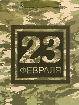 Цена за 2 шт. Пакет подарочный вертикальный «23 февраля», ML 23×27×11.5 см