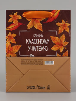 Цена за 2 шт. Пакет подарочный ламинированный, упаковка, «Классному учителю», MS 18×23×10 см