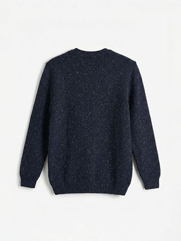 Bisiklet Yaka Y?n Kar???ml? Erkek Triko Kazak