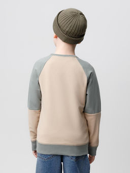 КР 302161-1/темно-бежевый джемпер (свитшот) для мал