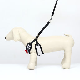 Комплект с мягкой шлейкой и бантиком Перья, размер M, поводок 120 x 1,5 см, ОГ 28-46 см - Пижон фото 2