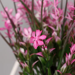 Искусственный цветок в горшке «Цветник с осокой» 9×23 см, МИКС