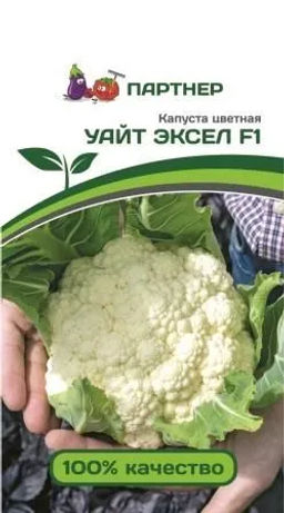 Капуста цветная Уайт Эксель