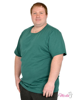 Мужская футболка Модель №618 размеры 44-84 - Plusmoda фото 2