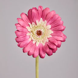 ЦВЕТОК ИСКУССТВЕННЫЙ ГЕРБЕРА ВЫСОТА=61СМ.