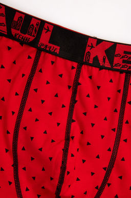 Мужские трусы-боксеры Kenn Paul  фото 6