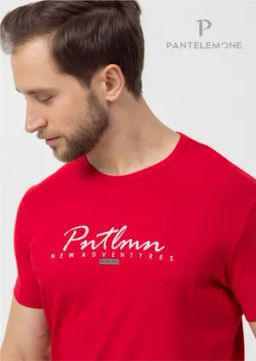 Футболка мужская MF-1087 - Pantelemone фото 3