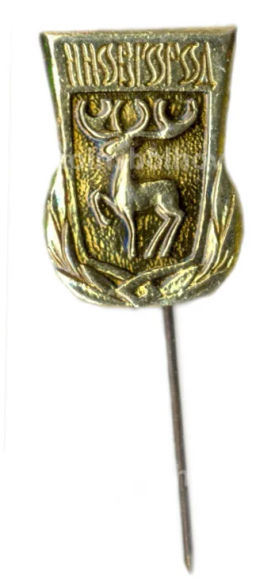 Значок Нижний Новгород