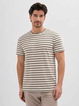 Футболка мужская короткий рукав GREG G145-KD-HJ-01-4T (коричневая полоска)