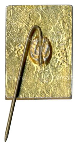 Значок Кисловодск