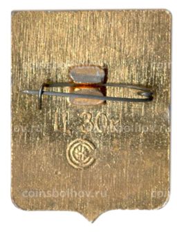 Значок Новосибирск