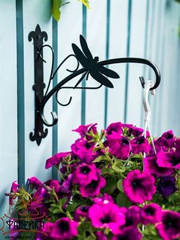 Кронштейн для подвесных кашпо Стрекоза 201-030B - Фабрика интерьерной ковки фото 4