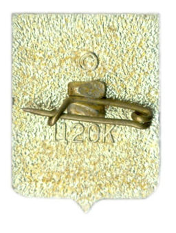 Значок Севастополь