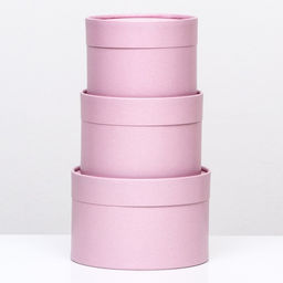 Набор шляпных коробок 3 в 1,Пыльная роза,16 х 10,14 х 9,13 х 8,5 см - UPAK LAND фото 3