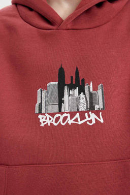 толстая толстовка с капюшоном и карманом кенгуру для мальчиков с принтом, тканевая толстовка - Defacto фото 5